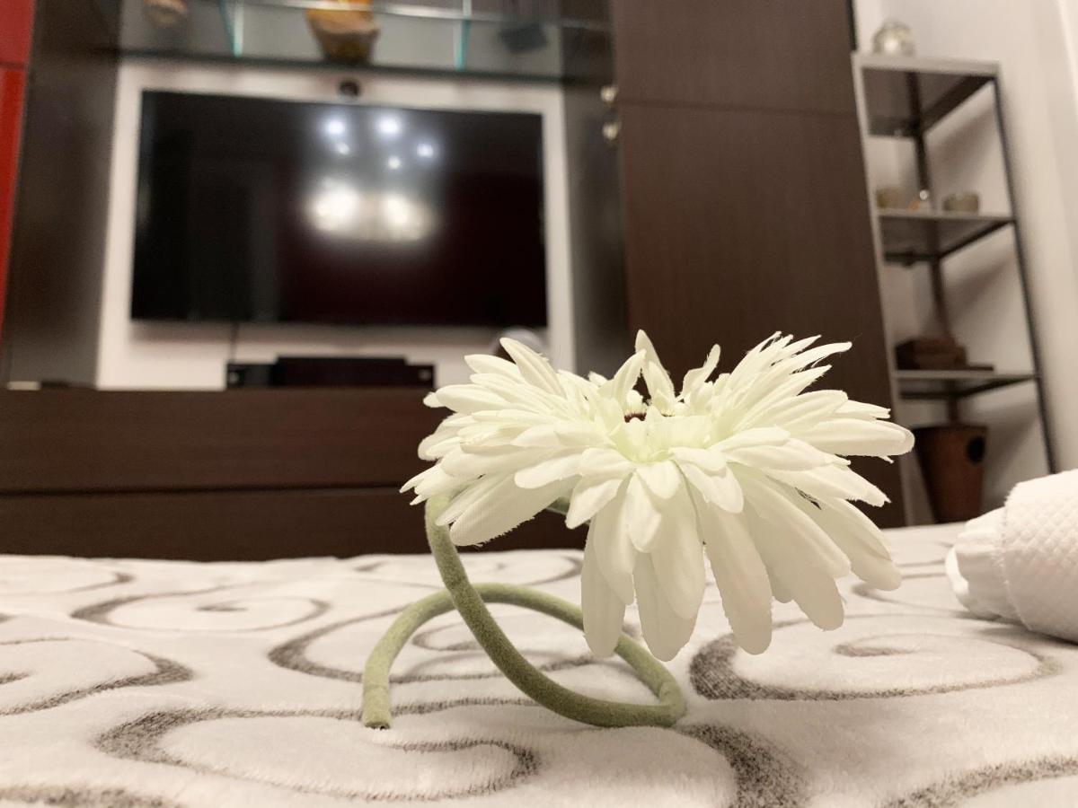 Bed and Breakfast Sansiro47 Milán Exteriér fotografie